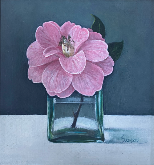 Camlia