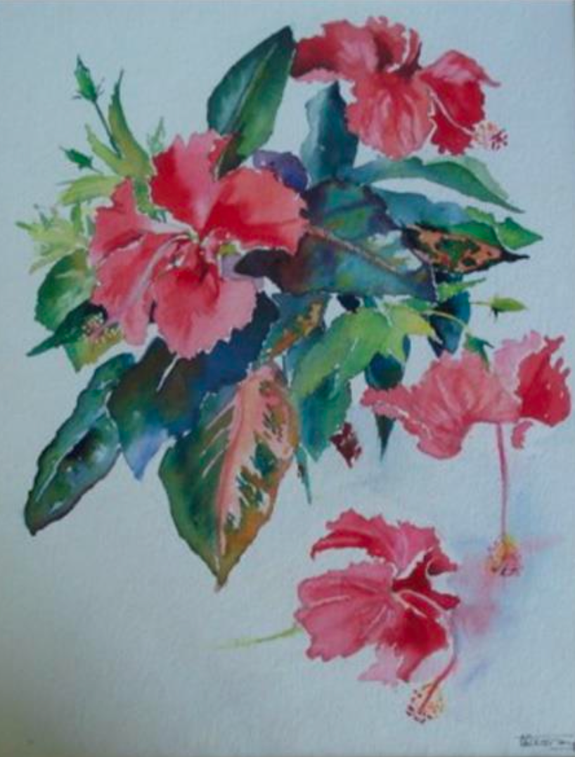 "Hibiscus" (Harry Bryden) (1982)