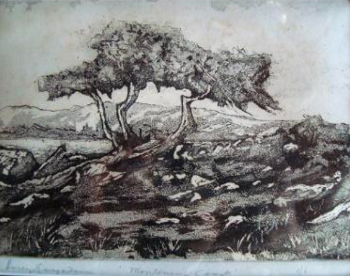 "Montenery Coast" (Holly Guaydeen) (1974)